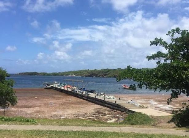 s-PLAGE-ANSE-MICHEL-large640